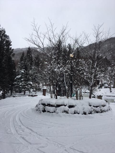 Wadano Forest Hotel & Apartments Hakuba Exterior foto
