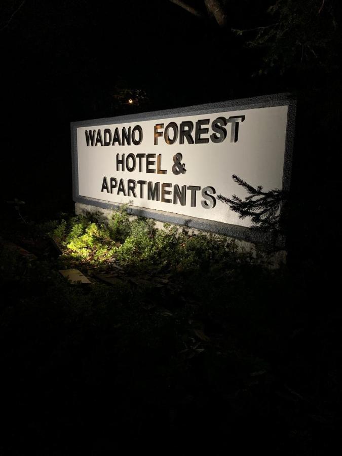 Wadano Forest Hotel & Apartments Hakuba Exterior foto